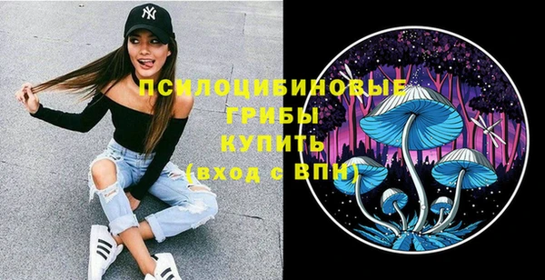 шишки Бикин