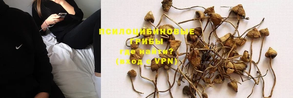 синтетический гашиш Няндома