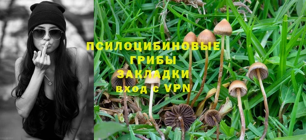 спиды Осташков