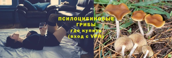 a pvp Нягань