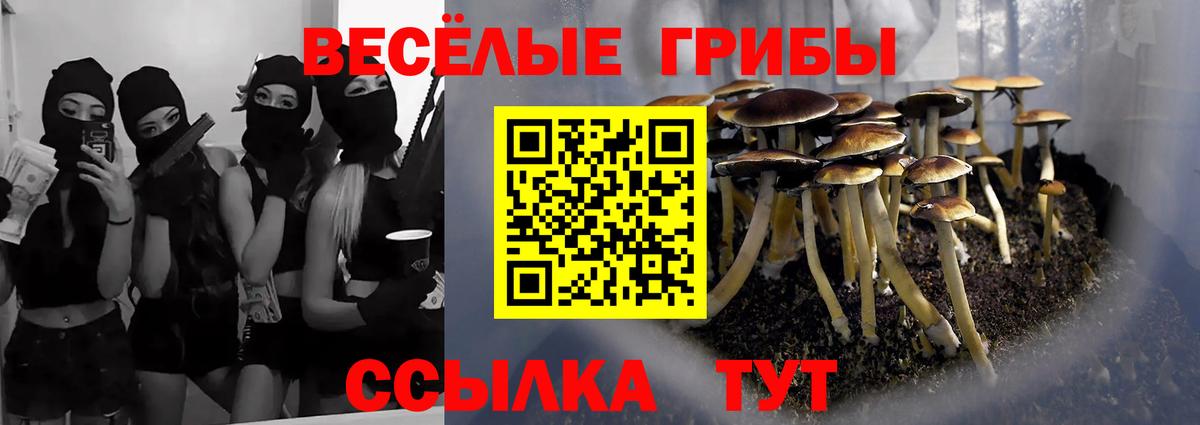 Галлюциногенные грибы Cubensis  цена   Балаково 